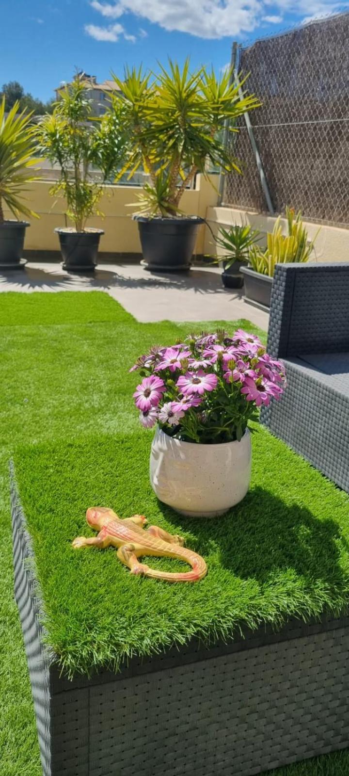 La Zenia Sabrina Apartment 5 Orihuela Exteriér fotografie